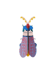Striped Wing Beetle